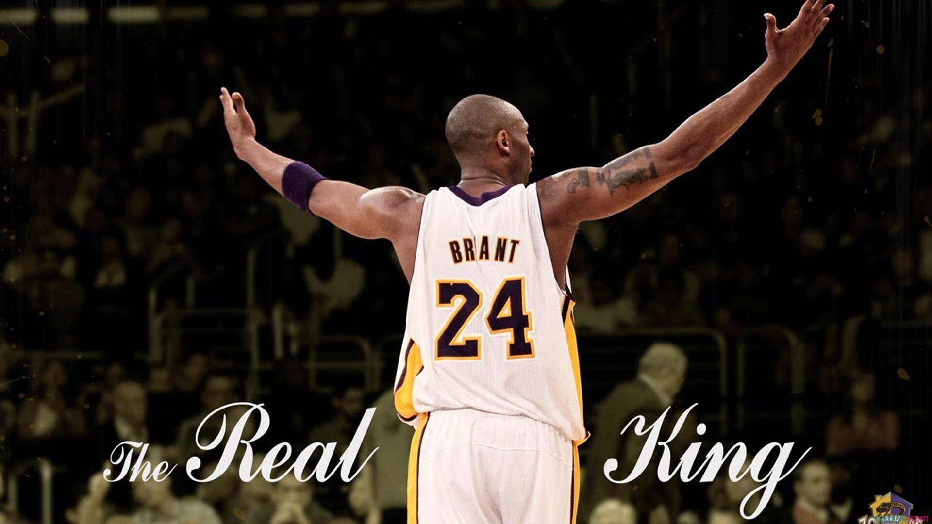 战队文化：队内沟通模式对比赛执行力的影响研究，对于比赛与团队合作的态度